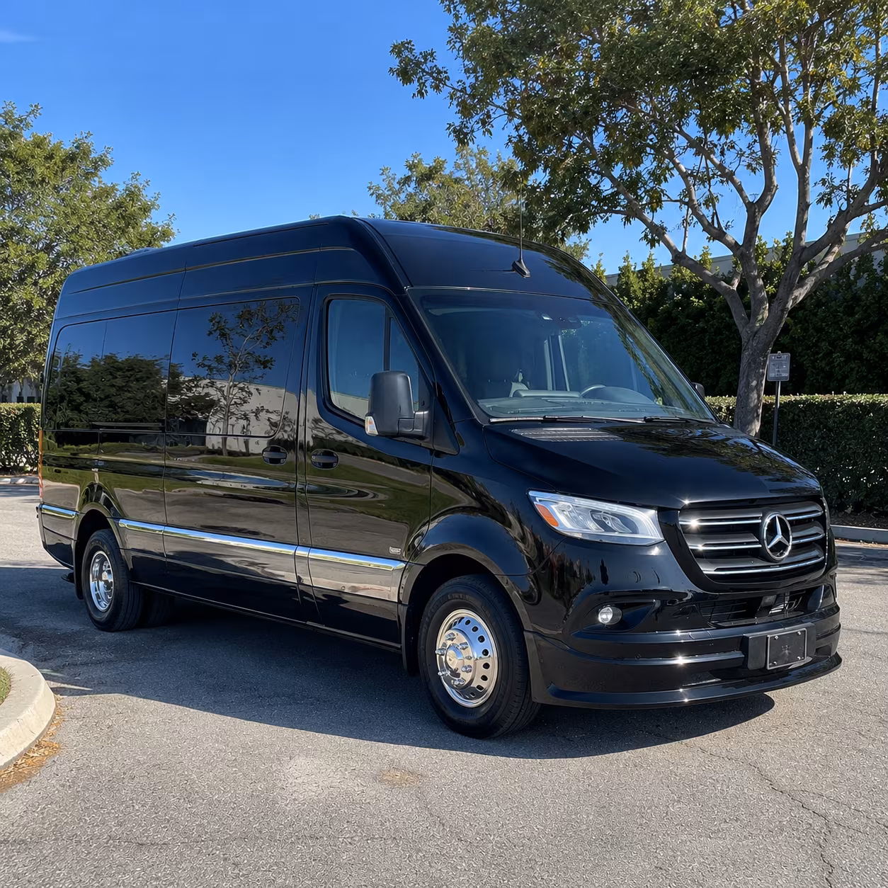 Baton Rouge Wedding Transportation & Shuttle Service